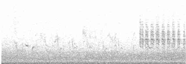 Fauvette babillarde (halimodendri) - ML271689881