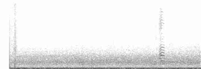Малая канадская казарка (leucopareia) - ML271750581