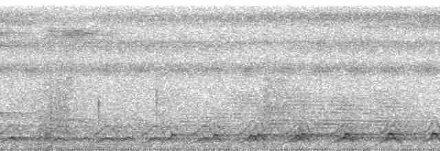 Синешапочный трогон - ML271763
