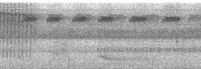 prikkstrupemaursmett (pyrrhonota) (kastanjeryggmaursmett) - ML271833