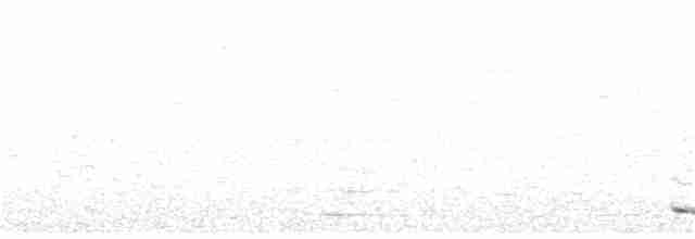 Trogon montagnard - ML271916671