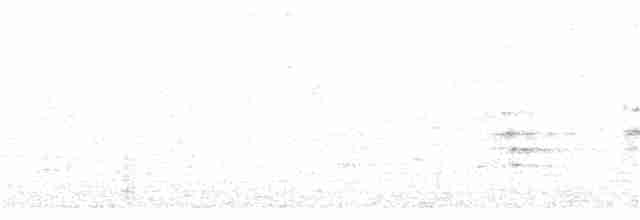 tøylesolitærtrost - ML271918361