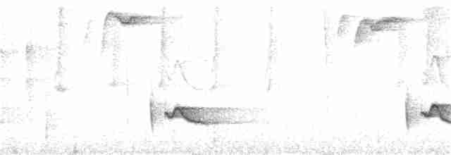 Серогрудый крапивник - ML271965541