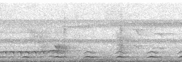 Black-tailed Trogon - ML271983
