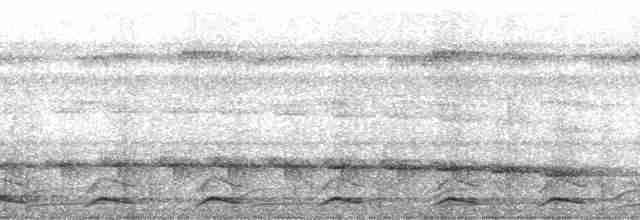 Black-tailed Trogon - ML272038