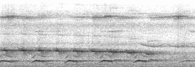 Black-tailed Trogon - ML272039