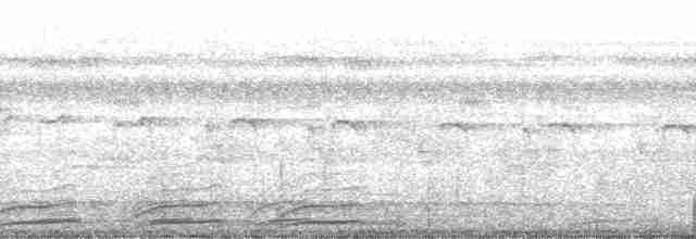 Black-tailed Trogon - ML272042