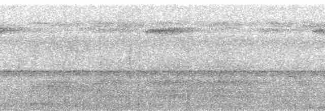 Black-tailed Trogon - ML272066