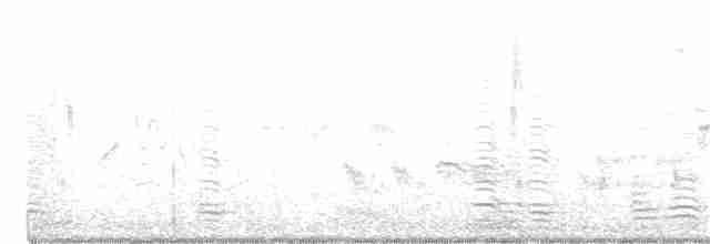 husice australská - ML272092831