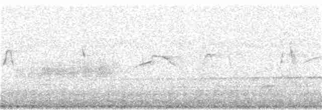 Rufous-thighed Kite - ML272132541