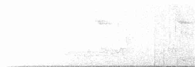 Каштановый скрытохвост - ML272135151
