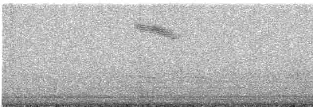 Spotted Flycatcher - ML272221101