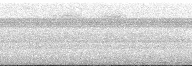 Gray-headed Kite - ML272248