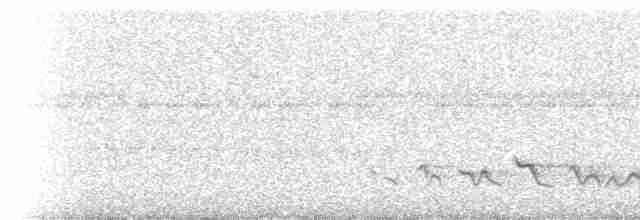Тиран-карлик амазонійський - ML272301