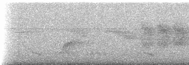 kolibřík ryšavoocasý - ML272306