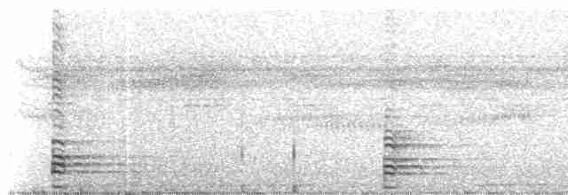 Sharp-tailed Ibis - ML272346