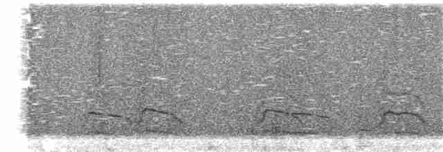 Large-billed Tern - ML272363231