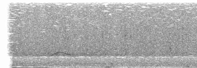 Grallaire des Andes - ML272408201