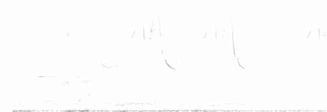 Band-tailed Sierra Finch - ML272409801