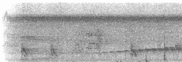Slender-billed Kite - ML272430