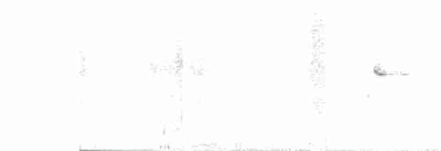 Gray-hooded Sierra Finch (gayi/caniceps) - ML272463191