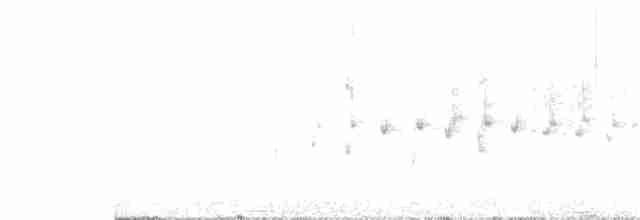 Пестрогрудый норник - ML272481091