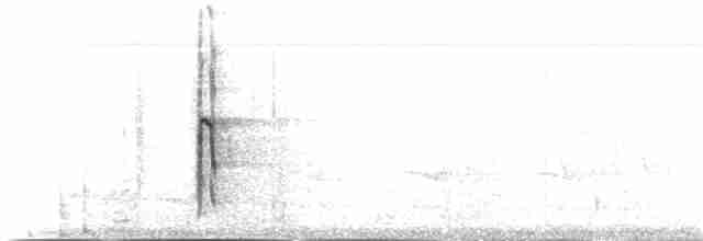 Pic chevelu (groupe villosus) - ML27249671