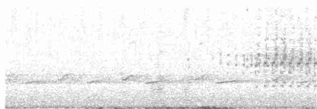 Australasian Grebe - ML272517611