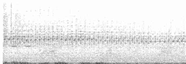 Australasian Grebe - ML272517621