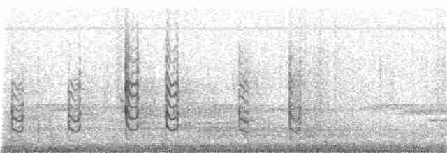 Haarspecht [villosus-Gruppe] - ML27253521