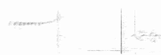 White-crested Tyrannulet (White-bellied) - ML272557631
