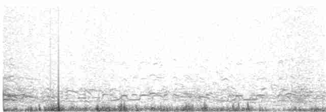 אווז לבן-מצח - ML272581681