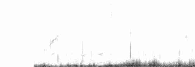 White-tailed Shrike-Tyrant - ML272596011