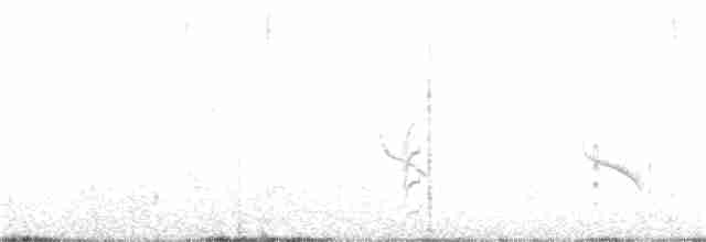 Тростниковый дорадито - ML272714891