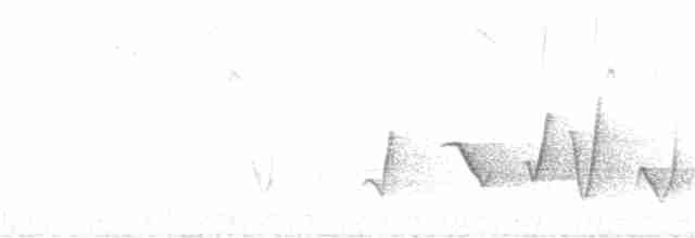 Rufous Whistler - ML272817931