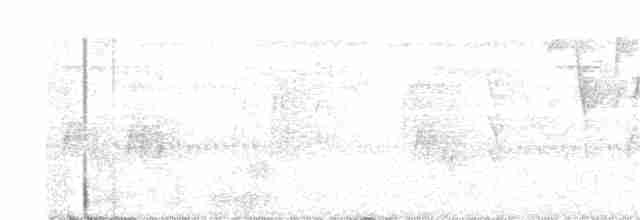 Тиран-карлик буроголовий - ML272826951