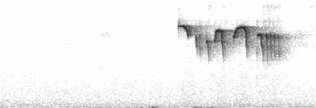 Тиран-крихітка чорноголовий - ML272846281