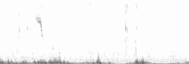 Желтоголовая трясогузка - ML272849591