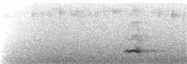 Toucan vitellin (ariel) - ML273036851