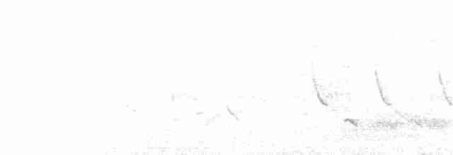 Длинноклювый пересмешник - ML273152851