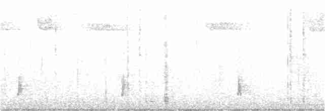 Дрізд-короткодзьоб плямистоволий - ML273170261