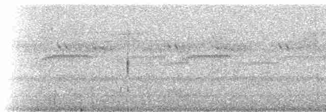 Rostnachtschwalbe [rufus-Gruppe] - ML273232