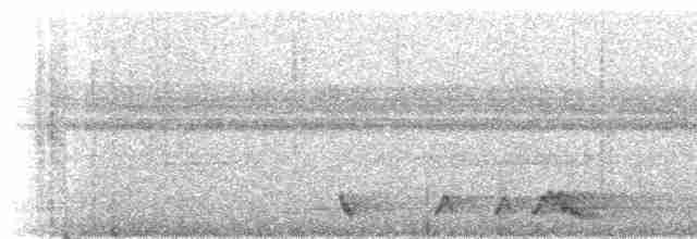 Rostnachtschwalbe [rufus-Gruppe] - ML273241