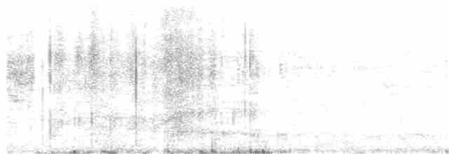 Band-tailed Sierra Finch - ML273273081
