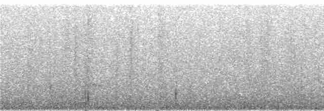 Пестрогрудый тираннчик - ML273357