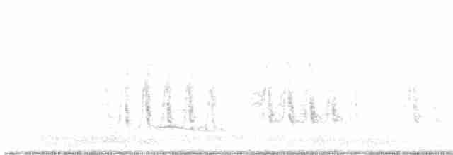 Black-tailed Godwit - ML273399181