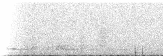 Tinamou vermiculé - ML273415
