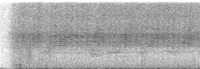 Saturnine Antshrike - ML273448