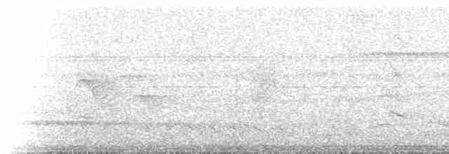 brunmykstjert (dimorpha) - ML273498