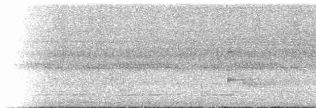 White-throated Tinamou - ML273530